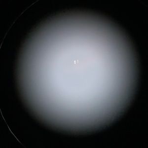 Meet your Posher, Rex